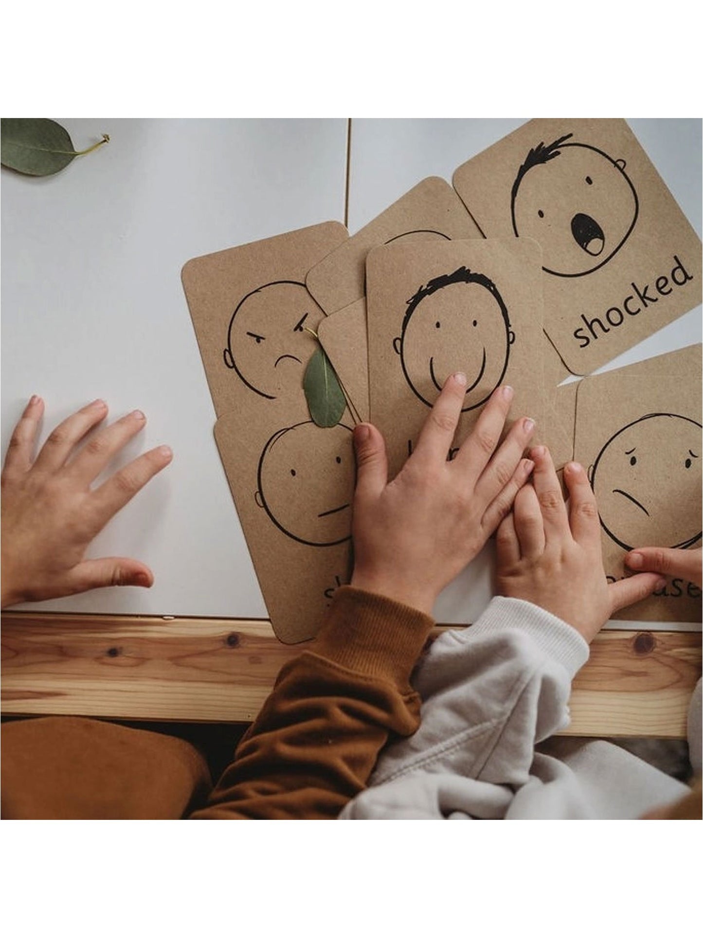 De kleine koetshuis-emotieflitskaarten