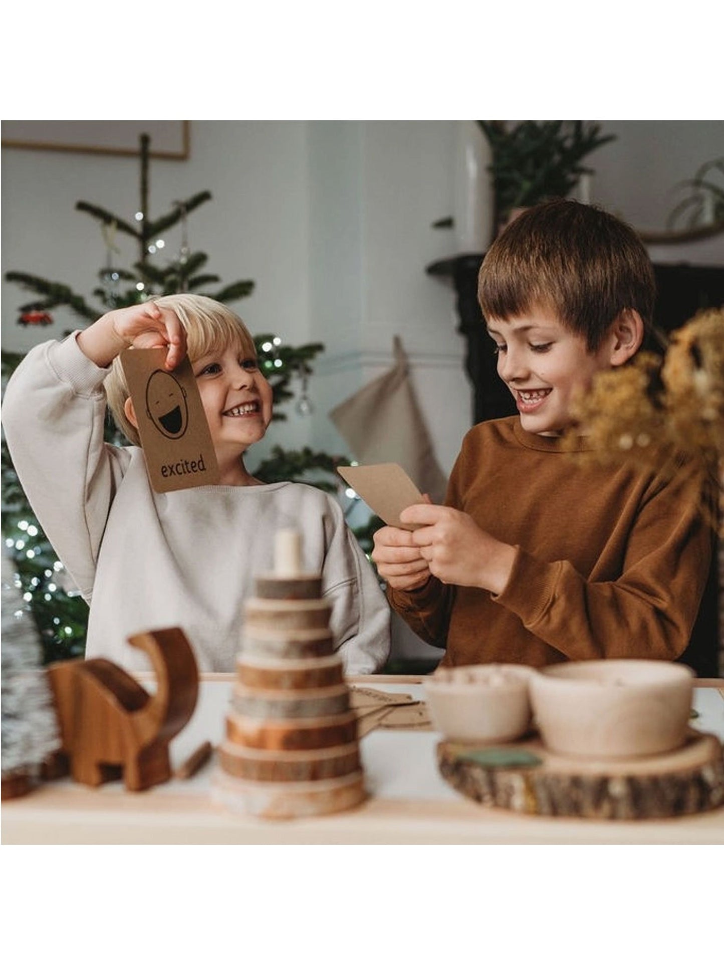 De kleine koetshuis-emotieflitskaarten