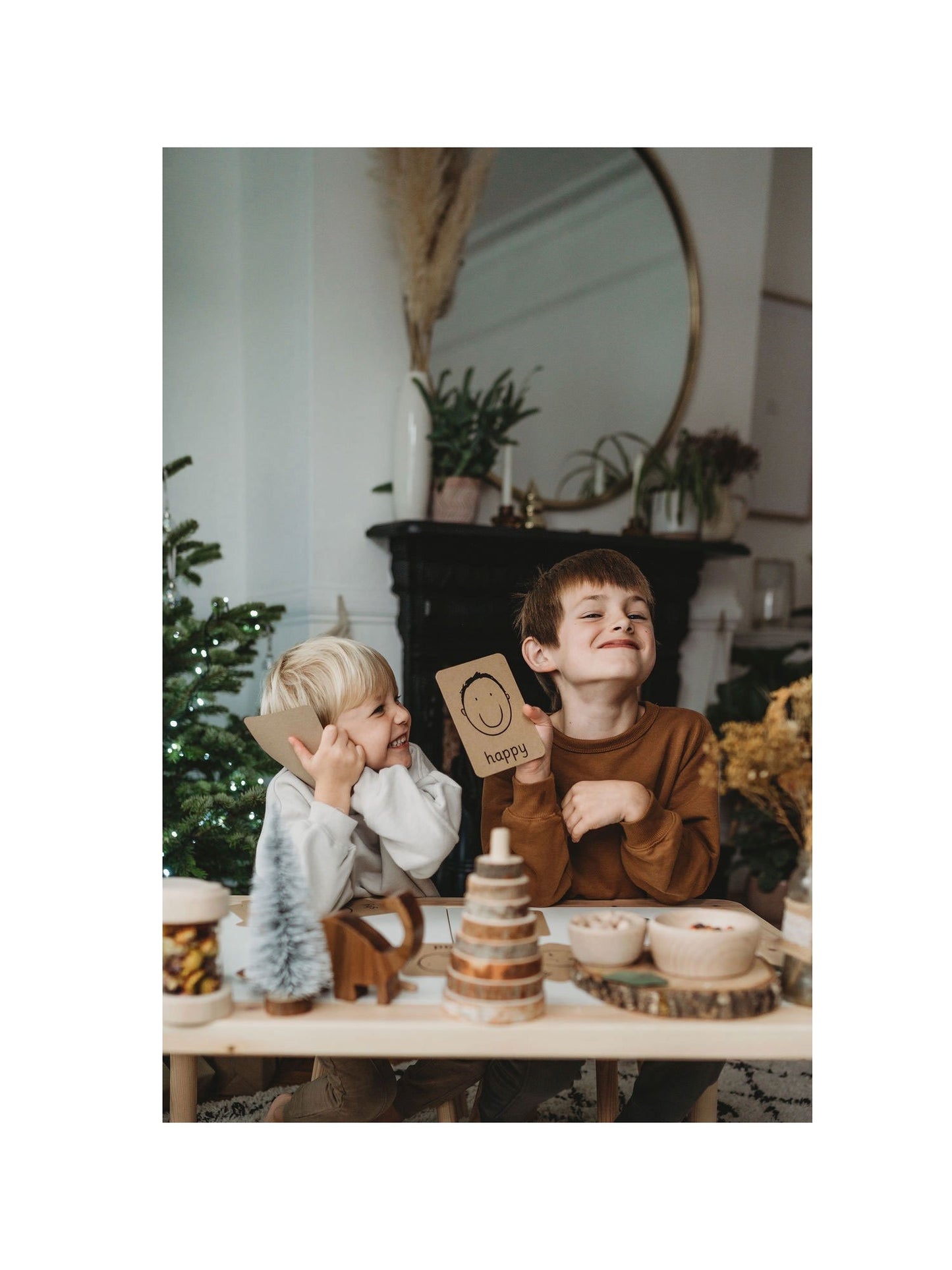 De kleine koetshuis-emotieflitskaarten