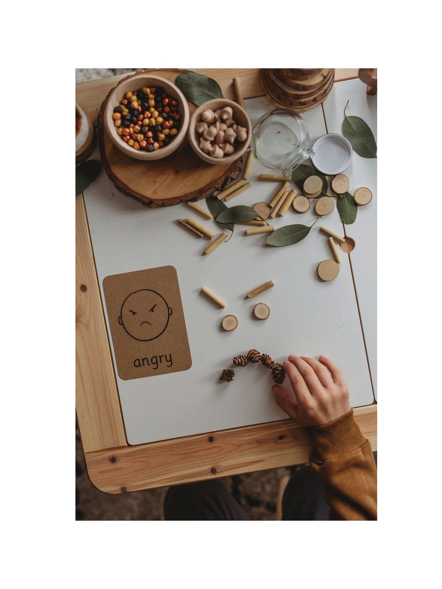De kleine koetshuis-emotieflitskaarten