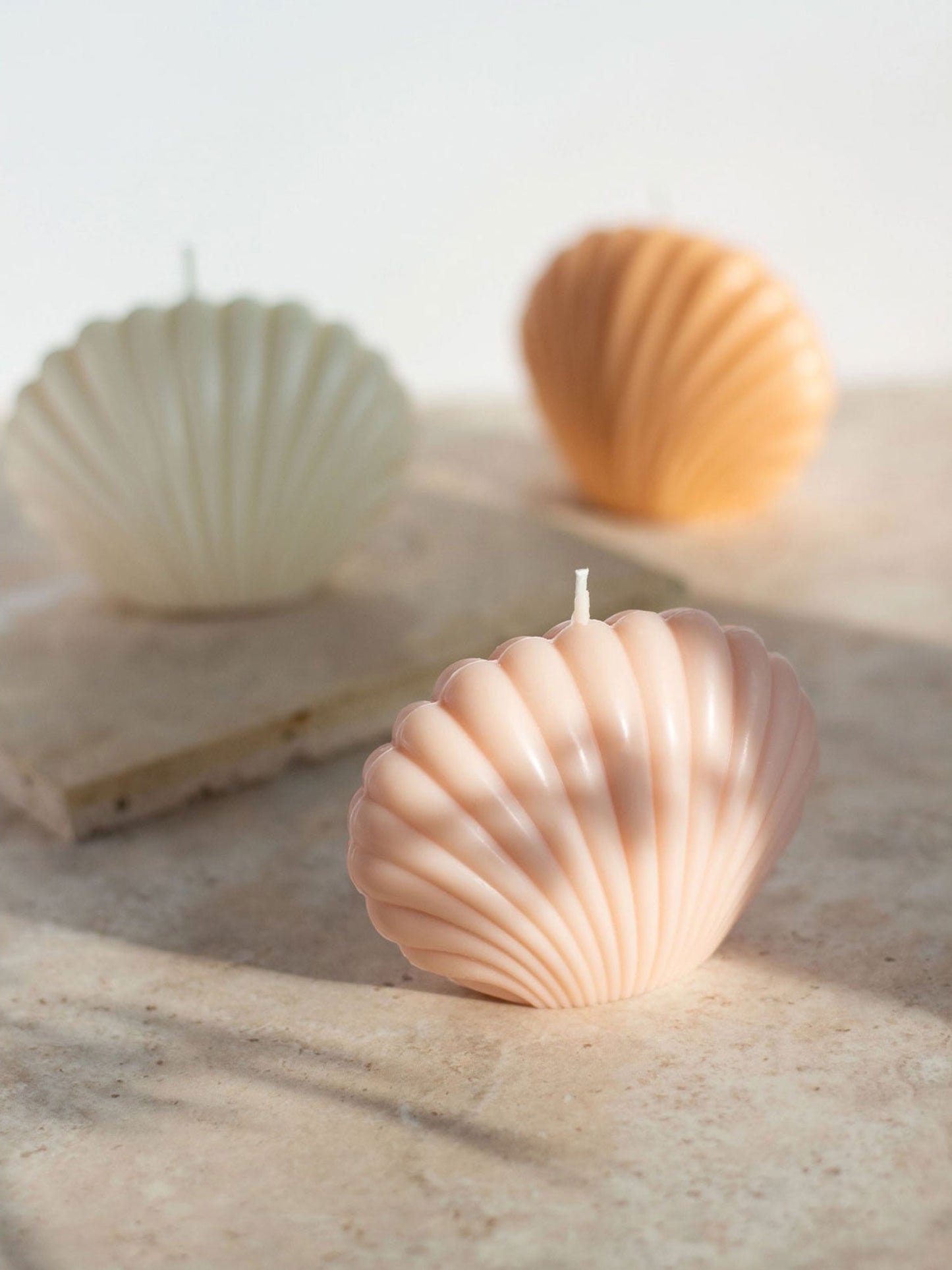 Bougie Coquille Vivante Opale