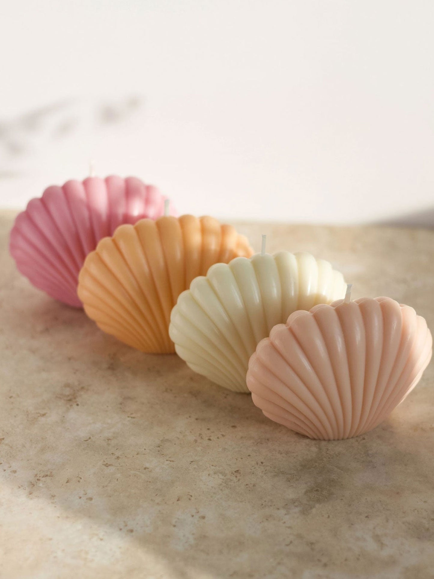 Bougie Coquille Vivante Opale