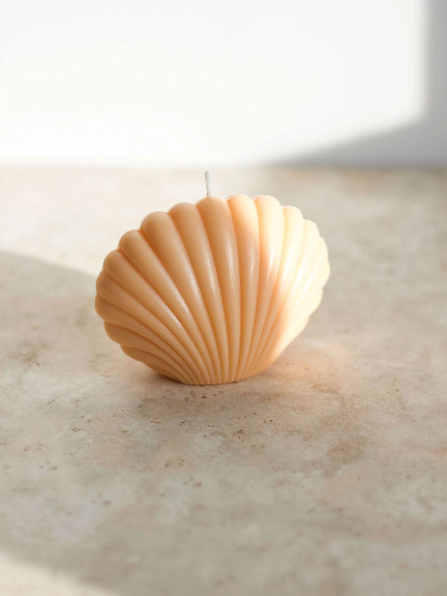 Bougie Coquille Vivante Opale