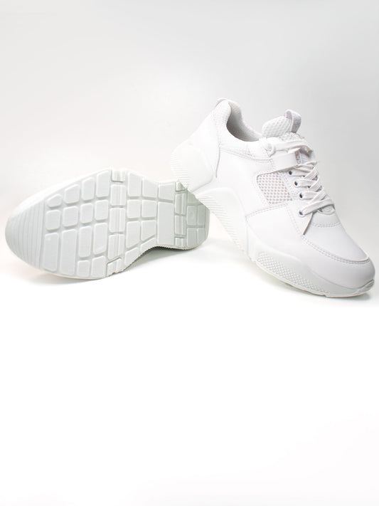 Chicago Low Tops | Vegan Sneakers & Trainers