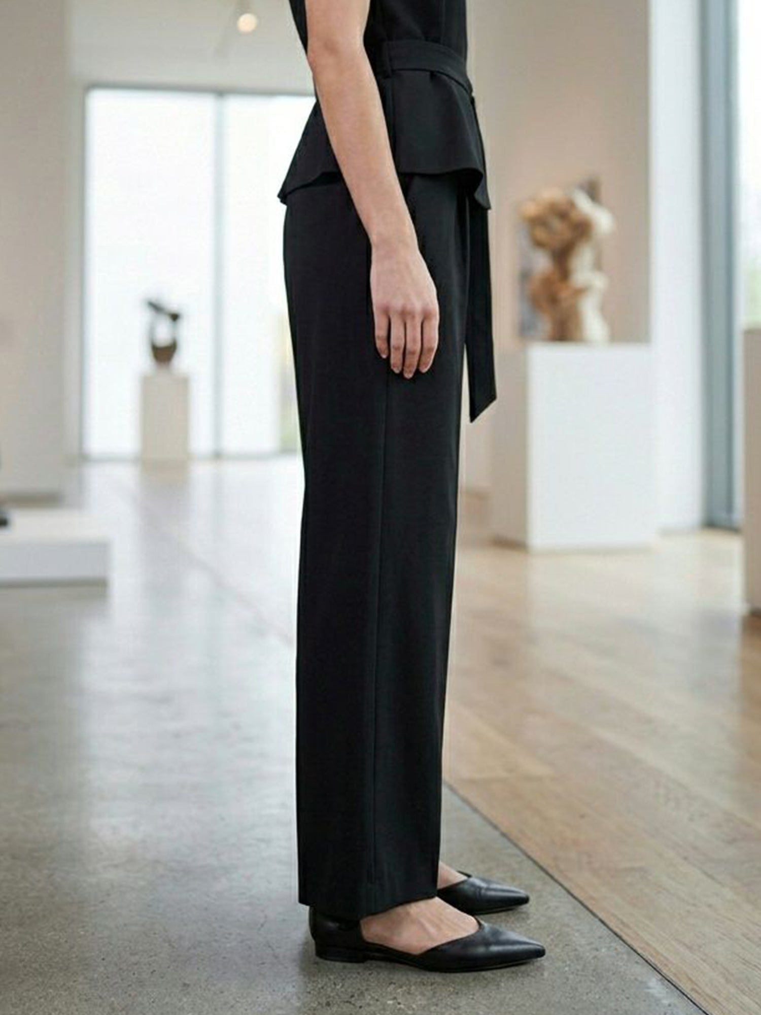 Point Toe Flats