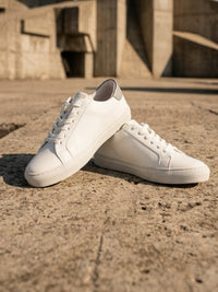 Sneakers NY