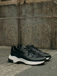 Chicago Low Tops