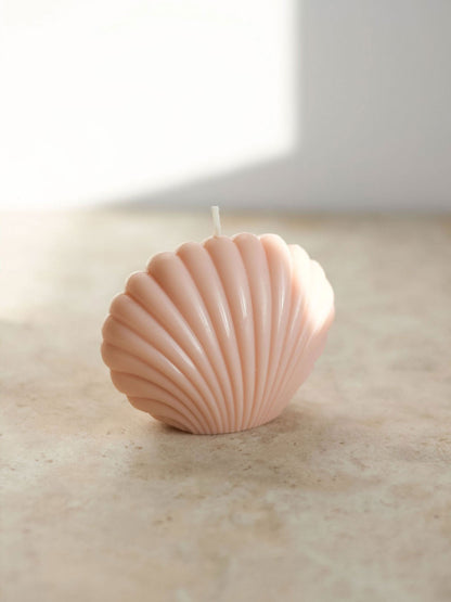 Opal Living Shell Candle