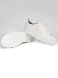 Sneakers NY Biodegradabili